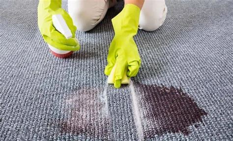 Common myths about magic carpet cleaning services debunked